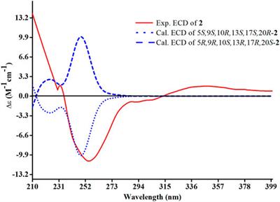 Triterpenoids From Kadsura coccinea With Their Anti-inflammatory and Inhibited Proliferation of Rheumatoid Arthritis-Fibroblastoid Synovial Cells Activities